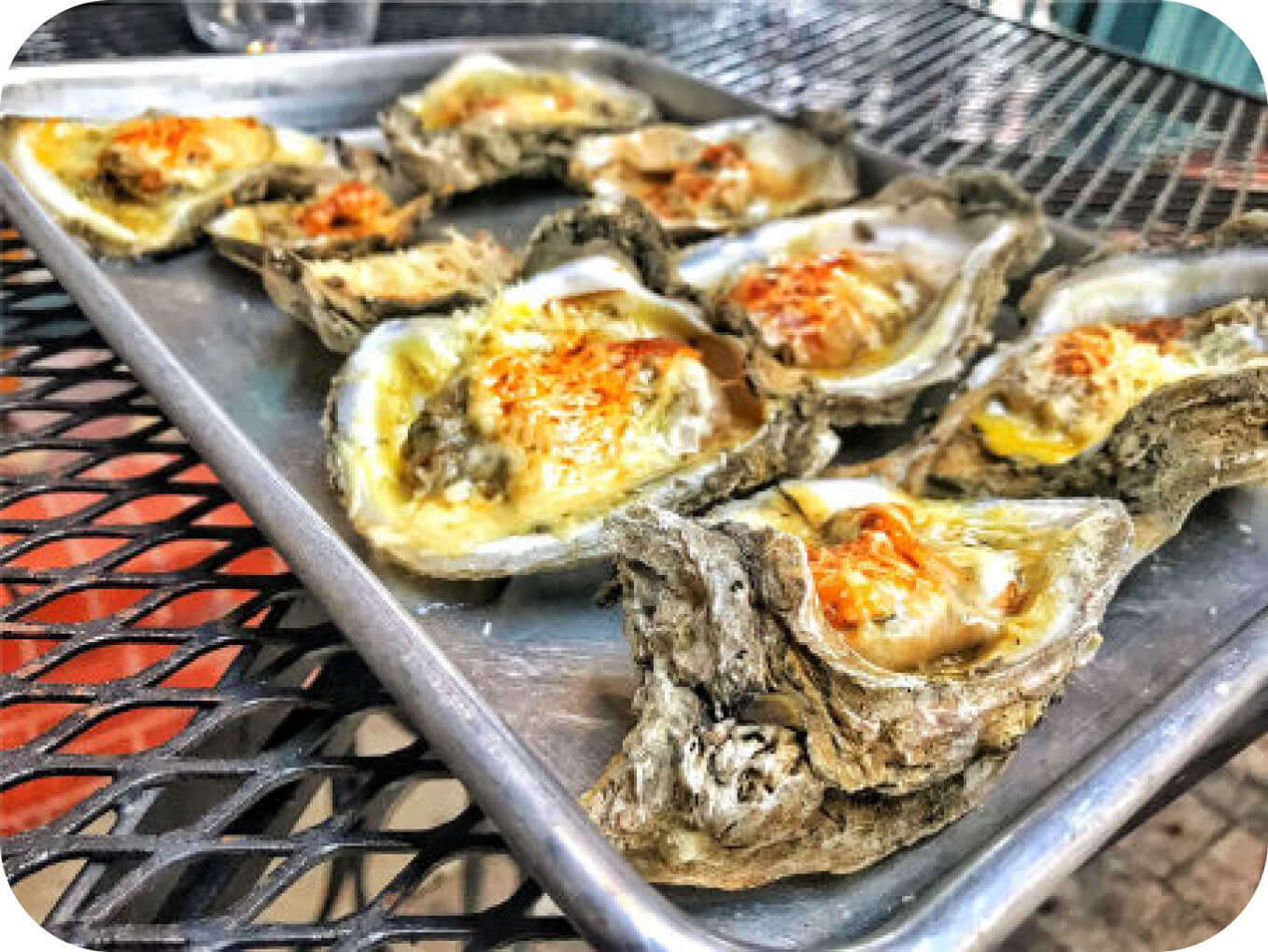 Grilled Oysters with Chilau Parmesan and Butter